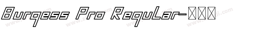 Burgess Pro Regular字体转换